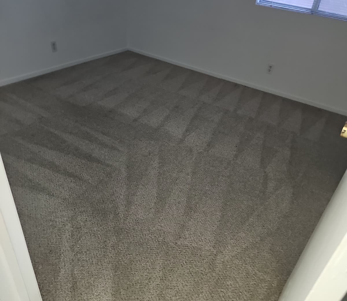 Freshly steam-cleaned bedroom carpet