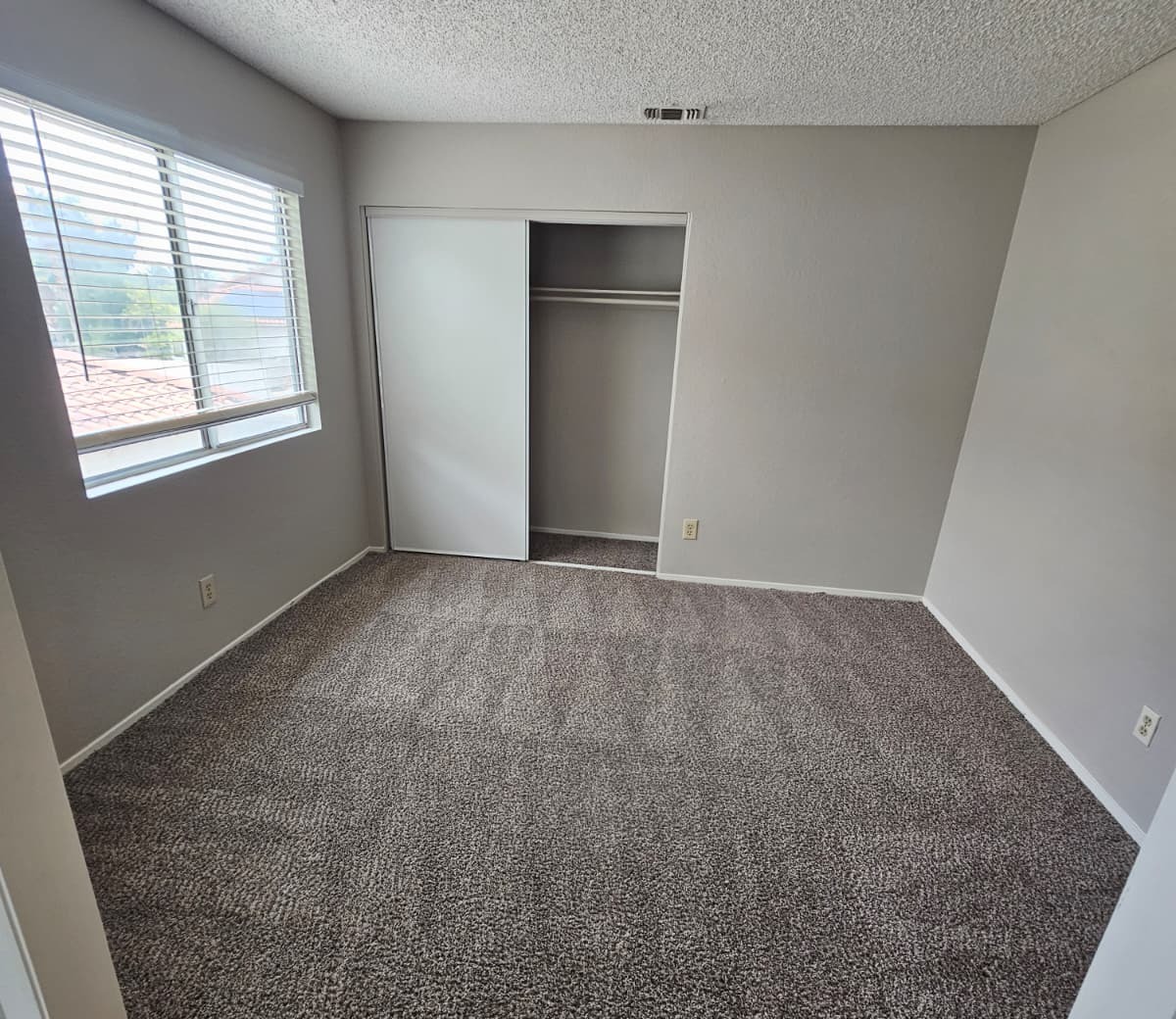 Clean bedroom carpet next to a closet