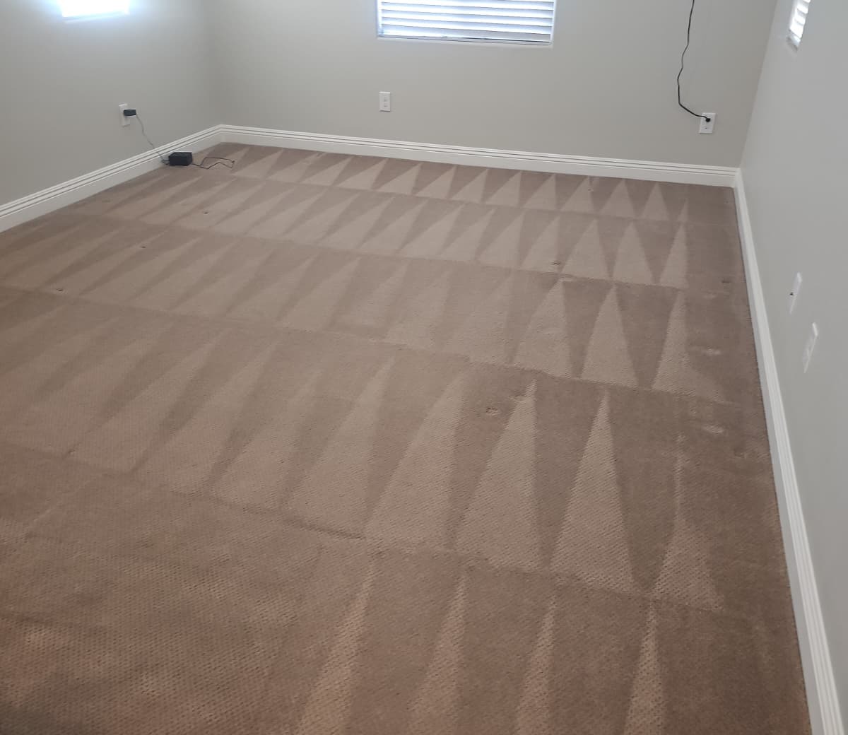 Clean carpet in an empty bedroom with visible vacuum lines