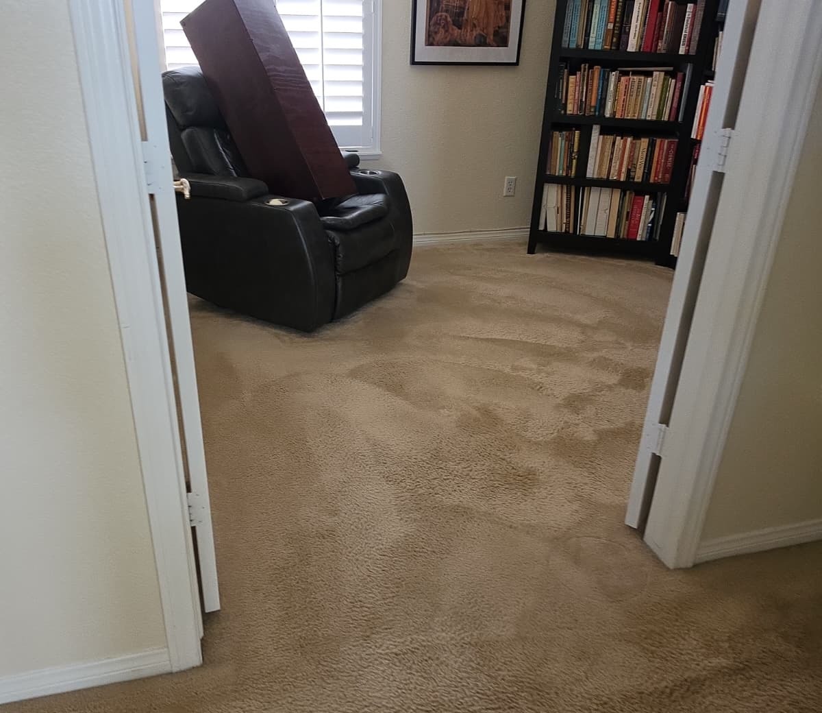 Living room carpet cleaning near a bookshelf and recliner