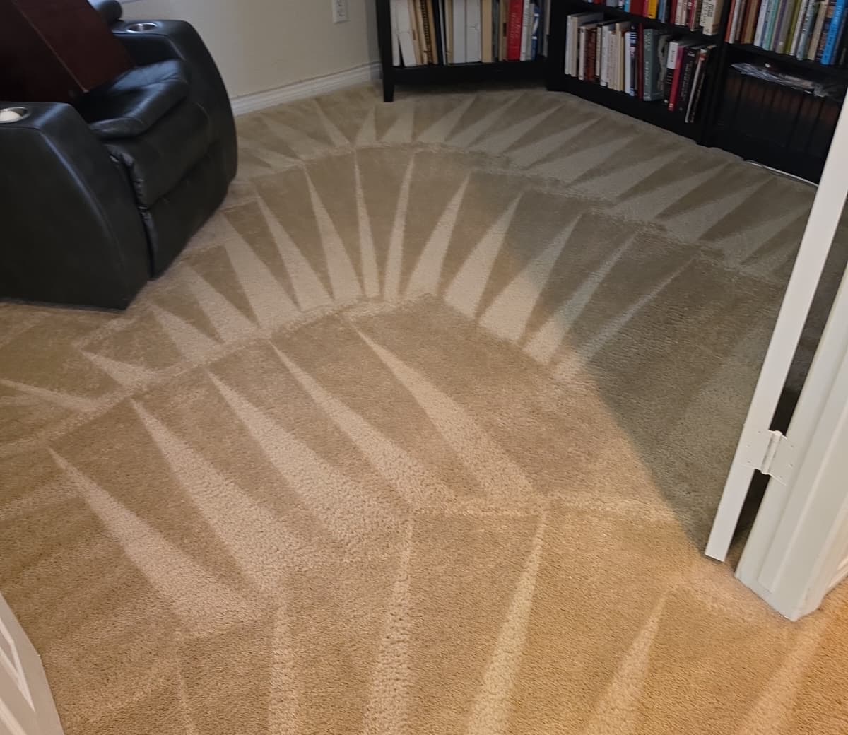 Carpet steam cleaning fan pattern in a living room