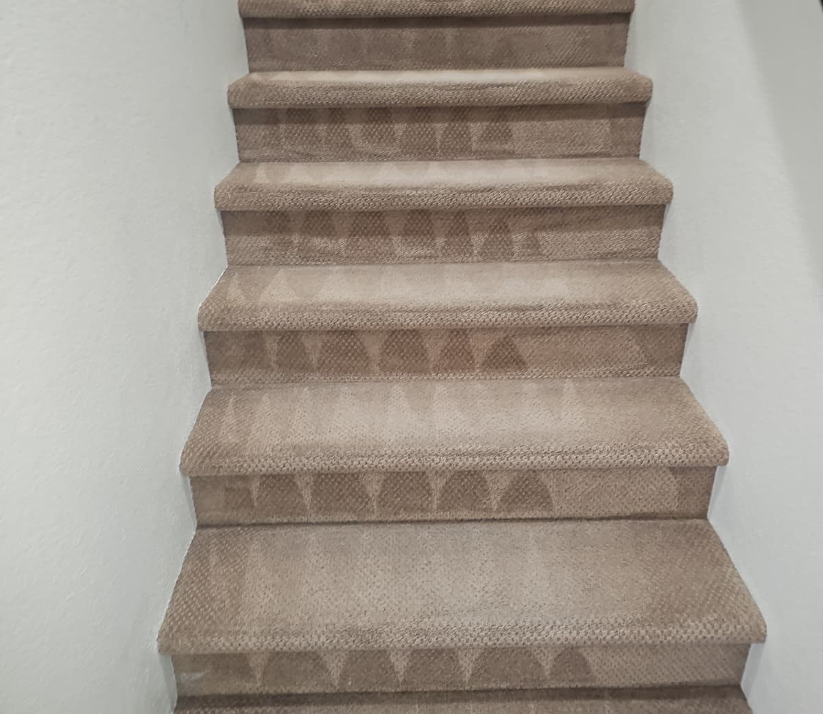 Freshly steam-cleaned carpeted staircase